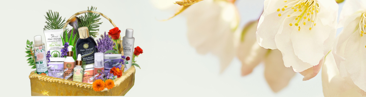 Bridal Bucket & Wonder Deals